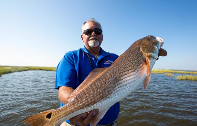 A fisherman holding a redfish